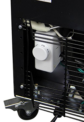 Kegco Keg Dispenser Kegco