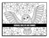 Adorable Owls: An Adult Coloring Book with Cute Owl Portraits, Fun Owl Designs, and Relaxing Mandala Patterns Majosta