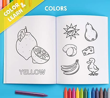 My Big Fun Coloring Book for Toddlers to Learn the Animals, Shapes, Colors, Numbers and Letters: Activity Workbook for Kids Ages 2-4 Years WoodArtSupply