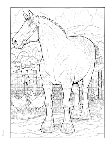 Adult Coloring Great Horses Coloring Book (Adult Coloring Books: Animals) Dover Publications