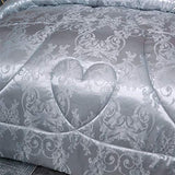 Raytrue-X Twin Comforter, Silver Silk Jacquard Bedding Comforter Sets, 3 Pieces Grey Lightweight Quilt, All Season Comforter for Twin Bed, Ultra Soft Microfiber, Matching 2 Pillow Shams, Twin/Twin XL Raytrue-X