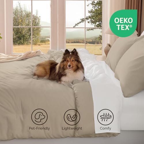 Andency Twin Size Comforter Set for Boys Girls, Oatmeal Wheat Solid Boho Bedding Set 2 Pieces for Kids Teens, Soft Fluffy Lightweight Bed Set for All Season (66x90In Comforter & 1 Pillowcase) Andency