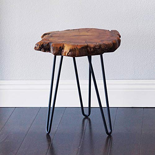 WELLAND Unique Shape Natural Wood Stump Rustic Surface End Table WELLAND