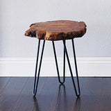 WELLAND Unique Shape Natural Wood Stump Rustic Surface End Table WELLAND