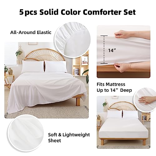 weigelia Twin Comforter Set 5 Pieces Pink Comforter Set Soft Blush Pink Bed Set Twin Bedding Set for Girls with Comforters, Flat & Fitted Sheets, Pillowcases & Shams weigelia
