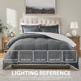 Cathay Home Twin Comforter Set: Ultra Soft and Plush Reversible Micromink and Sherpa 2-Piece Bedding Set, Pewter, Twin (66" x 86") Cathay Home