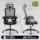 Fizzin Ergonomic Office Chair, 400 LBS Computer Chairs with Adjustable Lumbar Support, Breathable Mesh Desk Chair Ergonomic with Thickened Cushion, Comfy Home Office Desk Chair (Black) Fizzin