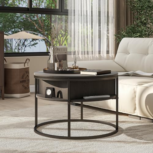 HOJINLINERO Round Lift Top Coffee Table,Coffee Tables Living Room,Black Coffee Table with Storage Hidden Compartment,Wood Farmhouse Coffee Table Decor,Center Table for Living Room,Modern Coff - WoodArtSupply