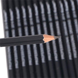 Heshengping Drawing Sketch Pencil Set 14pcs Sketching Pencils 12B 10B 8B 7B 6B 5B 4B 3B 2B B HB 2H 4H 6H Graphite Pencils for Kid Adults Artists Student Beginners Professional Heshengping