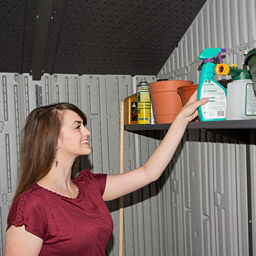 Lifetime 60202 8 x 10 Ft. Outdoor Storage Shed, Gray Lifetime