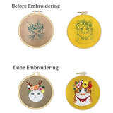 Mozzyyee Embroidery Starter kit, DIY Adult Beginner Embroidery Kits, Including Cloth with Cat Patterns, Colored Threads, Needles, Hoops and Instructions (Blue)