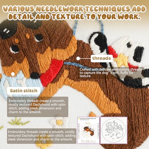 4 Pack Beginner Embroidery Kits for Adults DIY Starter Kit with,cross stitch kits for beginners,Stamped Patterns,Embroidery Hoop,Colorful Threads,Tools,Step by Step Instructions & Video Tutorial