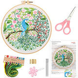MUFEKUM Embroidery Kit for Beginners, Embroidery Starter Kit with Pattern and Instructions, Embroidery Hoop, Cloth, Threads, Scissors, Needles, Cross Stitch Kits Needlepoint Kits for Adults