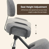 DR.LOMILOMI Ergonomic Kneeling Chair with Backrest, Improve Posture, Thick Cushions, Locking Wheels for Home & Office, AKONI 512 (Backrest Add-on, Dim Grey) DR.LOMILOMI