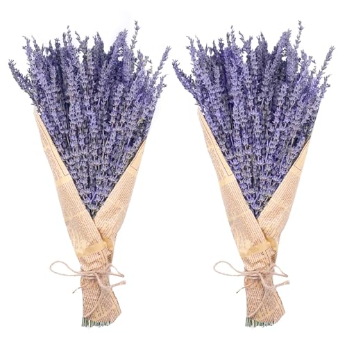 Dried Lavender Bundles, Uieke Natural Dried Lavender Flowers 280-300 Stems 16“ for Home Weeding Decoration Flower Arrangements Home Fragrance 2 Bundles Uieke