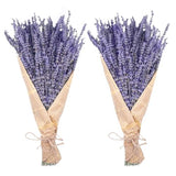 Dried Lavender Bundles, Uieke Natural Dried Lavender Flowers 280-300 Stems 16“ for Home Weeding Decoration Flower Arrangements Home Fragrance 2 Bundles Uieke