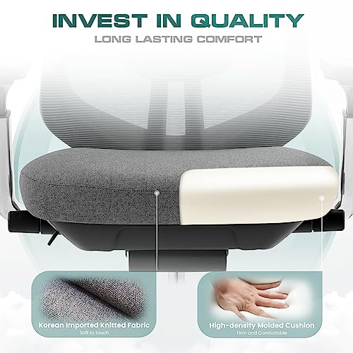 COLAMY Ergonomic Mesh Office Chair, High Back Office Chair, Computer Executive Desk Chair with Lumbar Support,Adjustable Headrest and 4D Arms, Slide Seat, Tilt Lock-Darkgrey New COLAMY