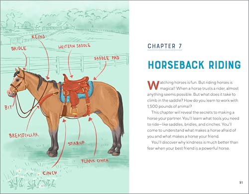 All About Horses: A Kid's Guide to Breeds, Care, Riding, and More! WoodArtSupply