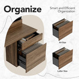 HUANUO Standing Desk with Drawers and File Cabinet, 47 Inch Electric Height Adjustable Desk with Storage, Ergonomic Stand Up Table with Monitor Stand, Black Walnut HUANUO