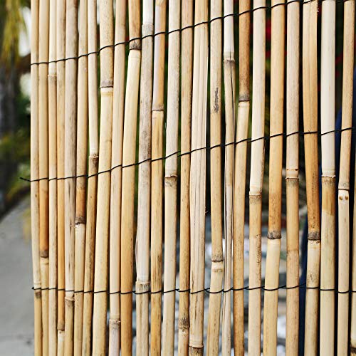 FOREVER BAMBOO Jumbo Reed Bamboo Screen Fencing Privacy Fence Backyard Divider Decorative Reed Garden Fencing, Natural 6 ft H x 16 ft L FOREVER BAMBOO