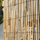 FOREVER BAMBOO Jumbo Reed Bamboo Screen Fencing Privacy Fence Backyard Divider Decorative Reed Garden Fencing, Natural 6 ft H x 16 ft L FOREVER BAMBOO
