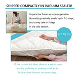 EMOOR Japanese Futon Mattress CLASSE Queen Made in Japan White, Foldable Floor Sleeping Bed Tatami Mat EMOOR
