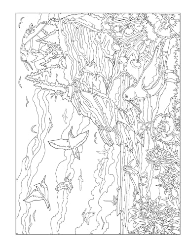 Creative Haven By the Sea Color by Number (Adult Coloring Books: Sea Life) Dover Publications