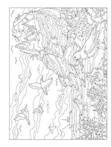 Creative Haven By the Sea Color by Number (Adult Coloring Books: Sea Life) Dover Publications