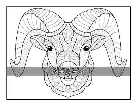 100 Animals: An Adult Coloring Book with Lions, Elephants, Owls, Horses, Dogs, Cats, and Many More! FILLBOSS