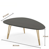 Manora Simple Dark Brown Oval Wood Coffee Table with Gold Legs, Modern Tea Table for Living Room or Office, Cute Small Center Table for Compact Space Manora