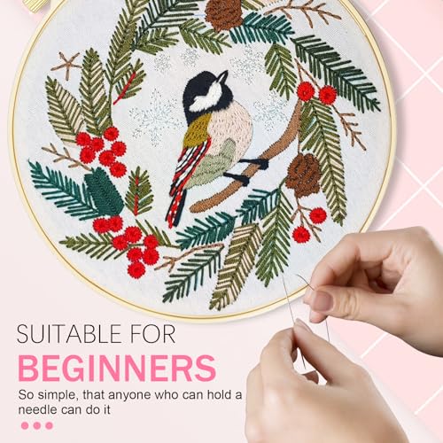 Huacan Embroidery Kit for Beginners Easy Needlepoint Kits for Adults with Stamped Embroidery Patterns. (Bird)