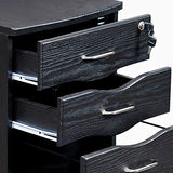 Techni Mobili Rolling Storage and File Cabinet, Espresso Techni Mobili