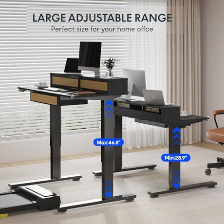 FLEXISPOT Q4 One-Piece Standing Desk with Rattan Drawers, 48 x 24 Inch Adjustable Height, Electric Stand Up Table with Monitor Shelf, Home Office Ergonomic Computer Desk with Memory Presets, Black FLEXISPOT
