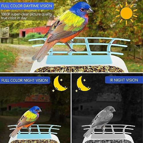 Kadymay Smart Bird Feeder with Camera Solar Powered, 1080P HD Live Video &Playback on Phone, AI Identify +10,000 Bird Species, 2.4G WiFi Bird Feeder Kadymay