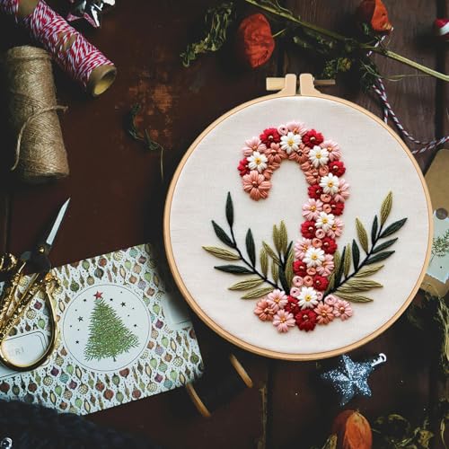 Smart-Feather 3 Sets Holiday Embroidery kit for Beginners, Hand Embroidery Kits for Adults with Hoop, DIY Art Project Craft Kit (Season)