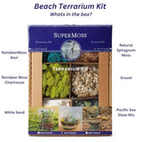 SuperMoss (90422) Beach Terrarium DIY Kit – Create Stunning Nature-Inspired Mini Gardens – Perfect for Home Decor, Office Gifts, and Plant Lovers, Appx 4 Oz SuperMoss