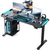 Gaming Standing Desk with LED Lights & Host Shelf, 55" x 24" Gaming Table with Music Sensing APP Control, Underdesk Cable Storage Electric Standing Desk, Black Carbon Fiber PC Table for Home Office Flycity
