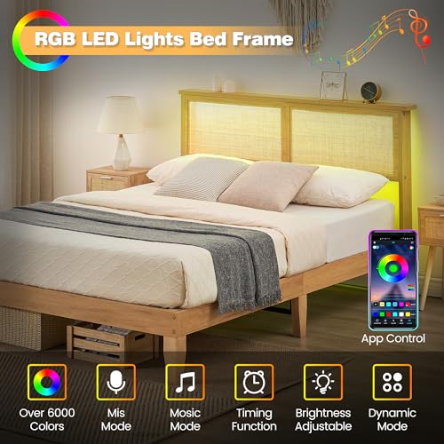 Full-Length Coucheta Modern Bed Frame with Rattan Headboard and LED Lights coucheta