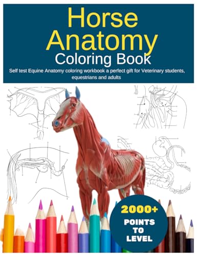 Horse Anatomy Coloring Book for adults: Self test Equine Anatomy coloring workbook a perfect gift for Veterinary students, equestrians and adults