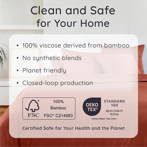 Bambaw 100% Viscose Derived from Bamboo Sheets Queen Size Set – 4pcs Cooling Sheets Queen, Luxury Bedding, Soft & Breathable, Deep Pocket Fits Up to 16'' Mattresses (Terracotta) Bambaw