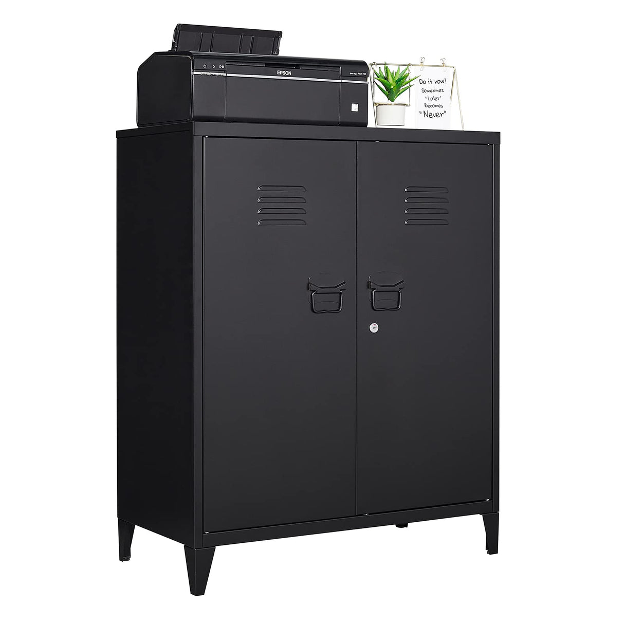 LISSIMO Metal Storage Cabinet,Home Office Cabinet with Doors and Adjustable Shelves,Locking Cabinet with Adjustabl Leg Levelers Assembly Required(Black) LISSIMO
