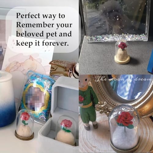 Lifelisa Pet Hair Memorial Bottle, Dog Cat Fur Memorial Keepsake, Pet Urns with Eternal Rose DIY, Dog Ashes Keepsake Small Pet Urn for Cat, Dog Memorial Gifts for Pet Loss(Red) (Red)