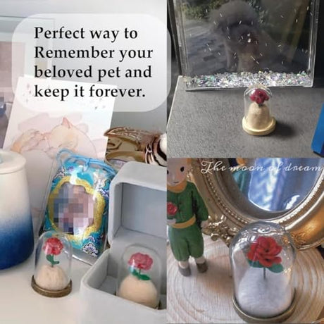 Lifelisa Pet Hair Memorial Bottle, Dog Cat Fur Memorial Keepsake, Pet Urns with Eternal Rose DIY, Dog Ashes Keepsake Small Pet Urn for Cat, Dog Memorial Gifts for Pet Loss(Red) (Red) Lifelisa