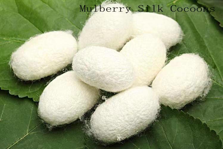 Jinmaya Silk Thread Spools Chinese Natural Pure 100% Mulberry Silk for Handmade DIY Embroidery 30 Colors on Wood Spools, Red, Navy, Blue, Yellow, Green, White Jinmaya