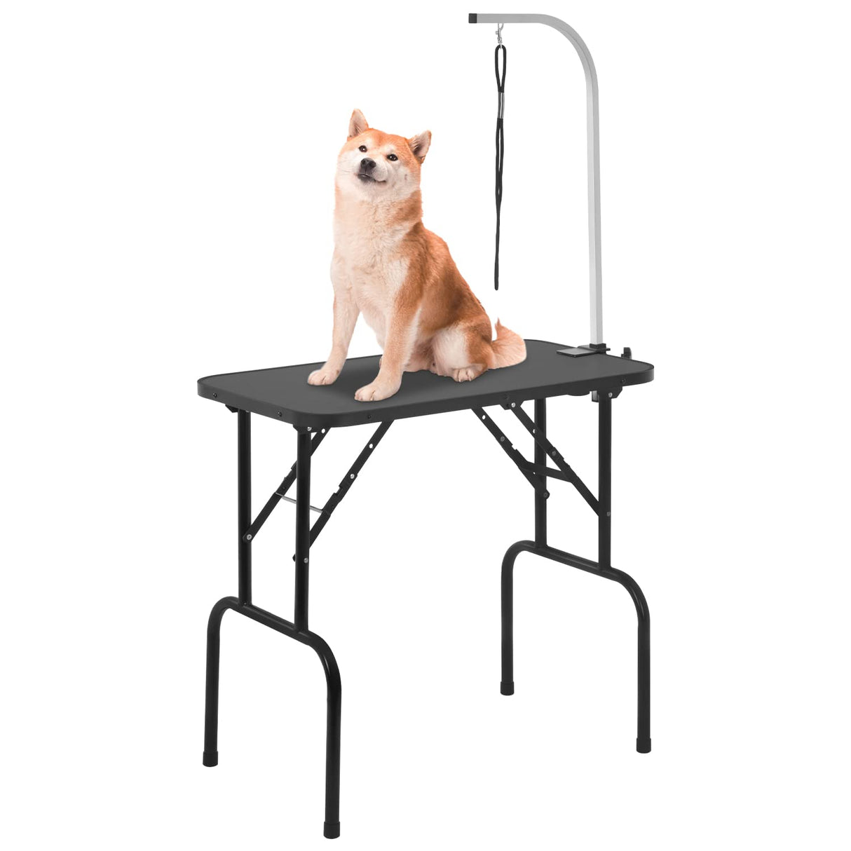 BestPet 32in 36in Dog Grooming Table Foldable Home Pet Bathing Station with Adjustable Height Portable Drying Table with Arm Noose for Medium Small Dogs (32 Inch) BestPet