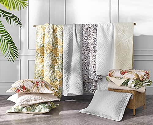 Tommy Bahama - Queen Quilt Set, Reversible Cotto Bedding with Matching Shams, Super Soft Bedding Set (Kayo Blue, Queen) Tommy Bahama