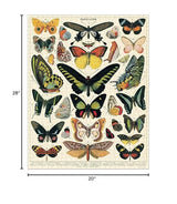Cavallini Papers & Co. Butterflies 1,000 Piece Puzzle, Multi Cavallini