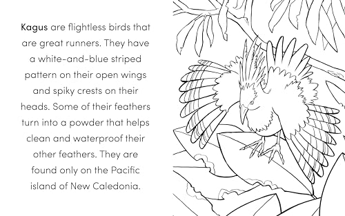 Bird Book for Kids: Coloring Fun and Awesome Facts (A Did You Know? Coloring Book) WoodArtSupply
