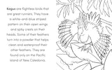 Bird Book for Kids: Coloring Fun and Awesome Facts (A Did You Know? Coloring Book) WoodArtSupply