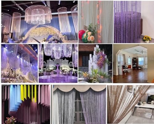ave split Decorative Door String Curtain Wall Panel Fringe Window Room Divider Blind Divider Tassel Screen Home 100x200centimeter (Champagne18) ave split